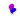 Incogniton