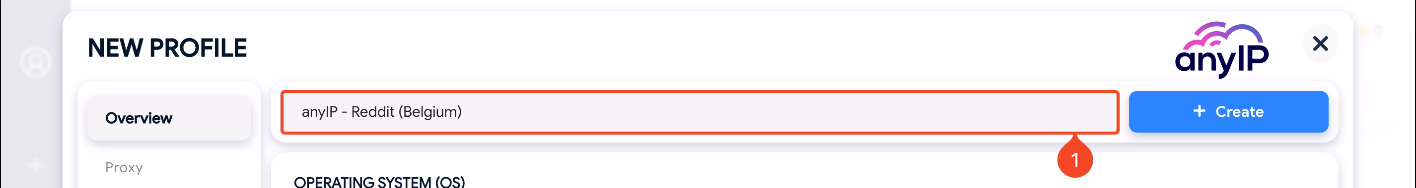 Overview tab on the profile creation form with the naming field