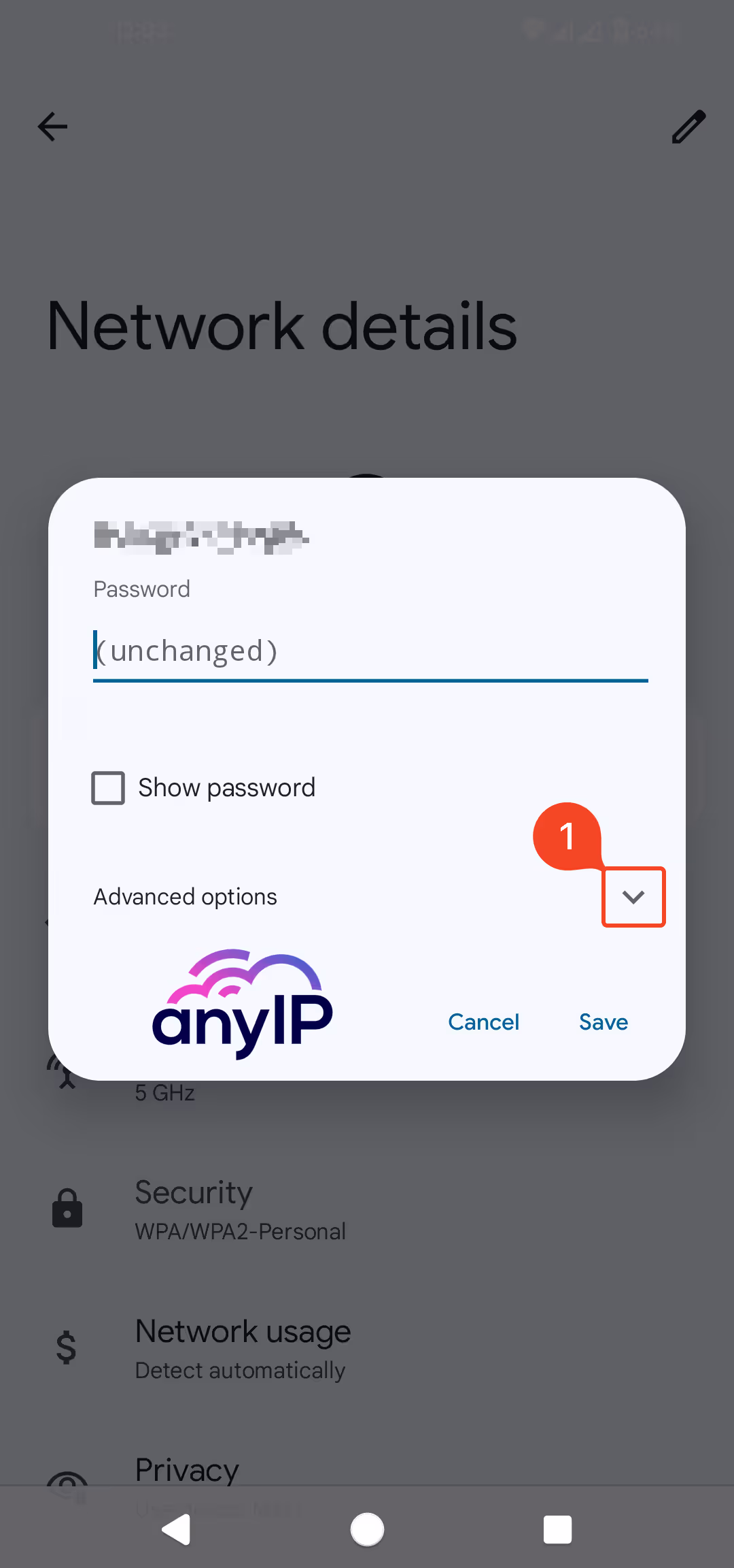 Reveal the WiFi's advanced options using the highlighted button